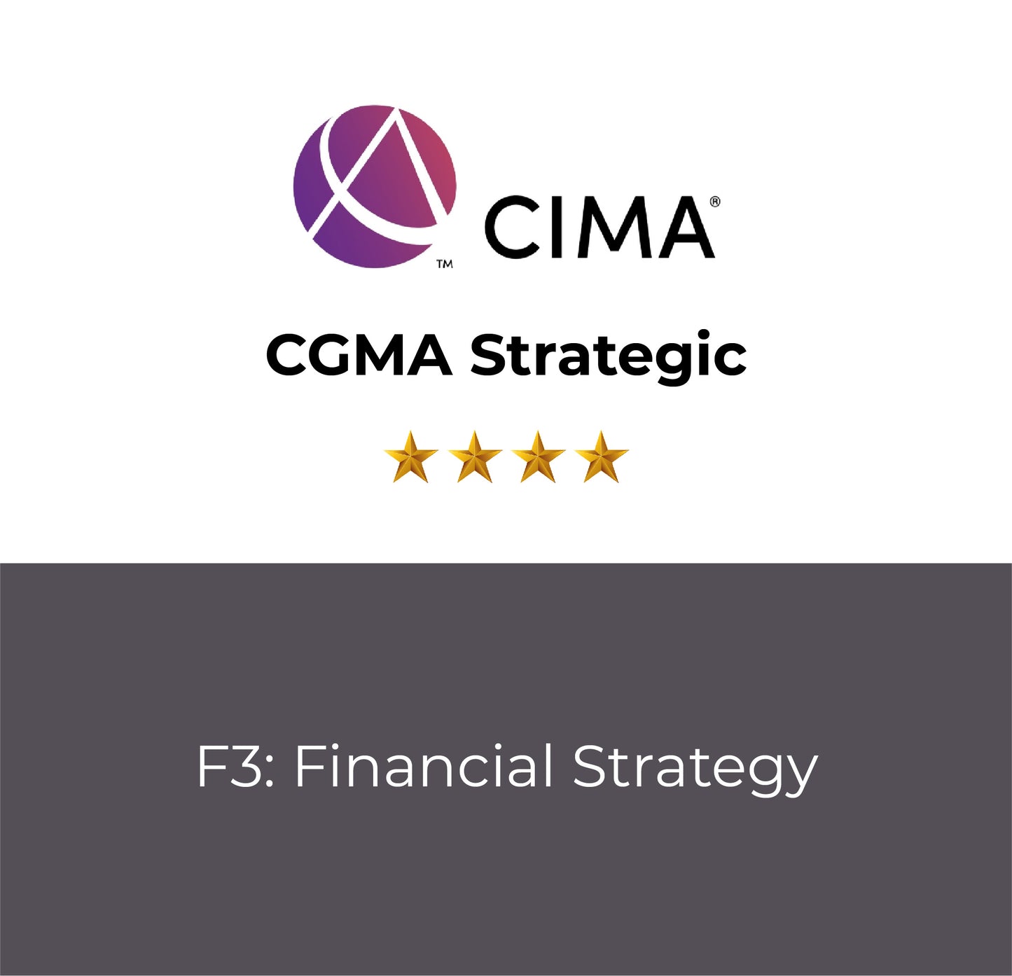 F3: Financial Strategy
