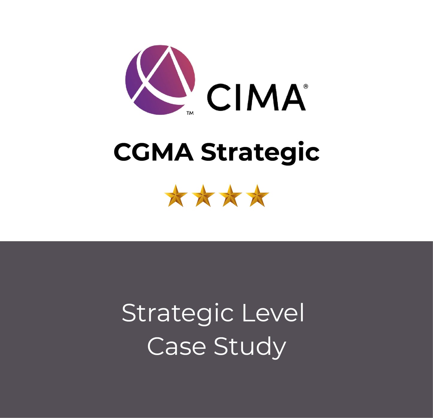 Strategic Level Case Study